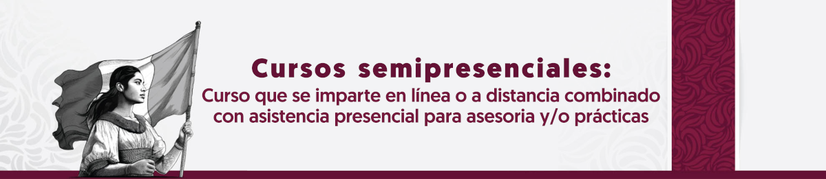 Cursos semipresenciales: en línea o a distancia combinado con asistencia presencial