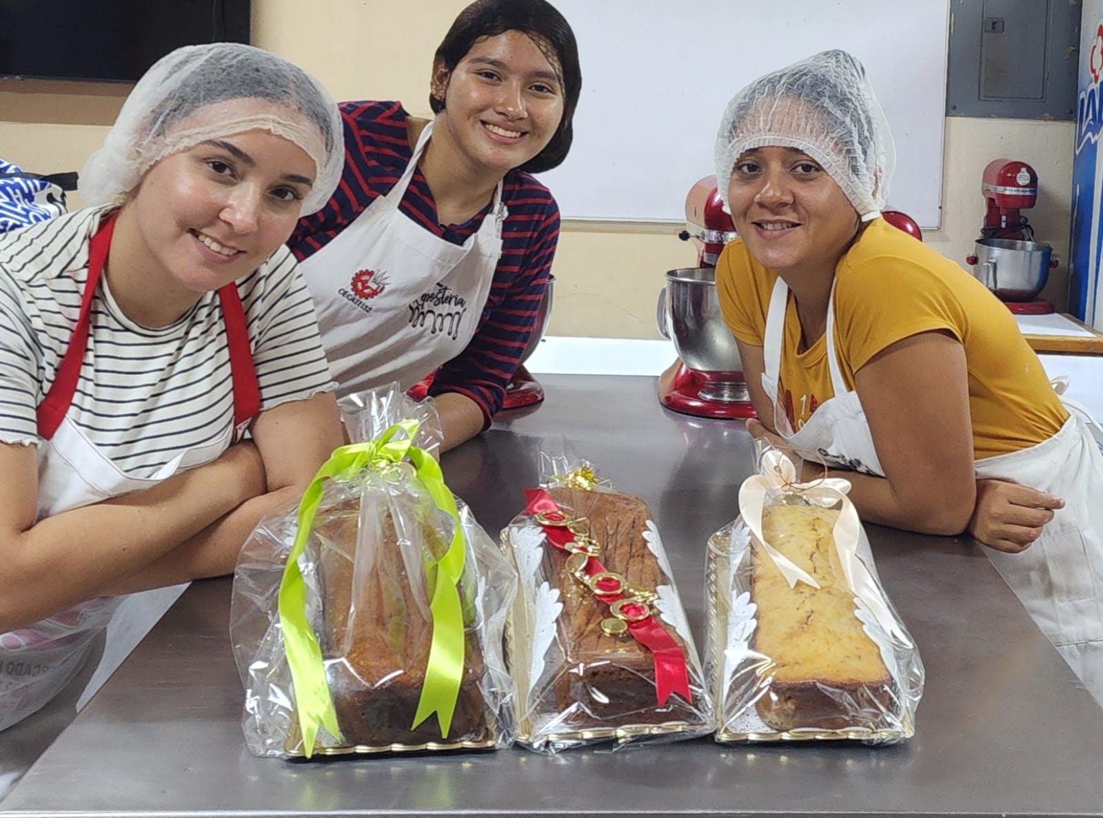 portada curso panques